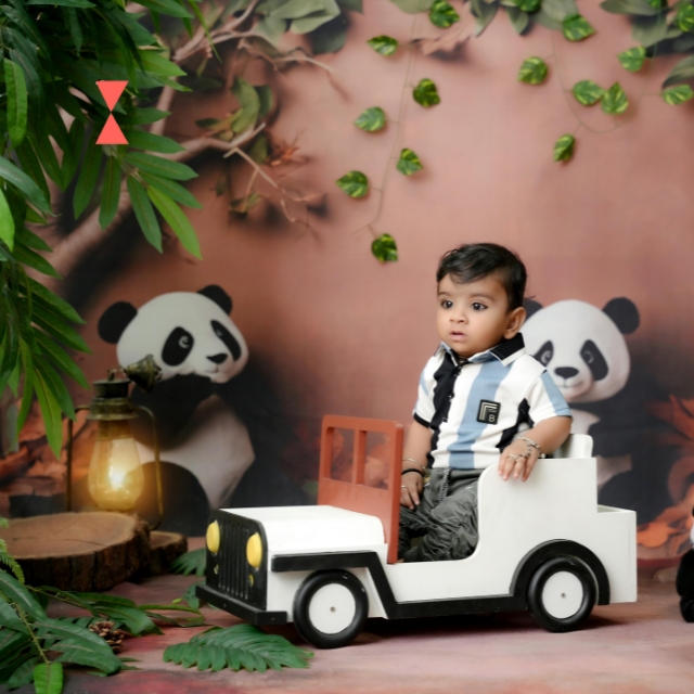 Jungle Safari Theme