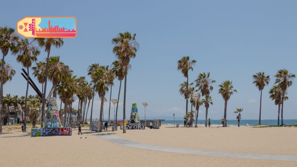 The Venice Beach Boardwalk