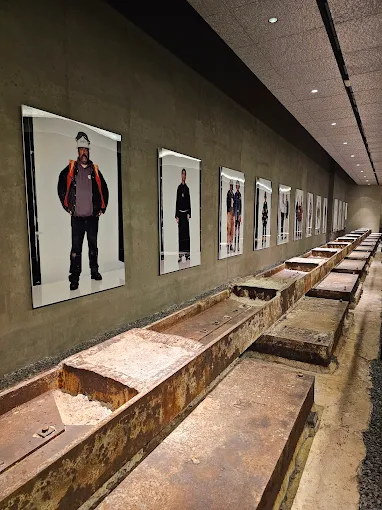Gallery Image 8